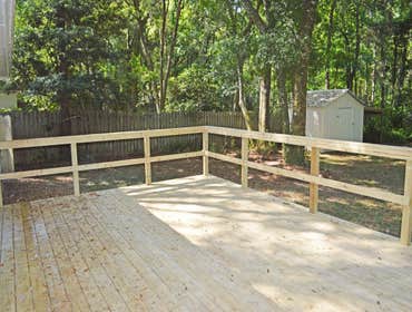 Swimming Salmon