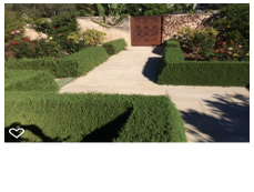 Photos by Foothill Nursery & Landscape Inc #1