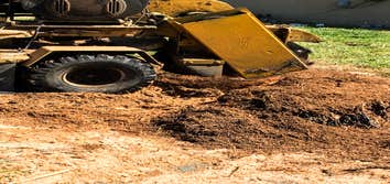 Stump Grinding Stump Removal