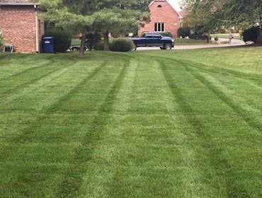 Photos by Greenpal Lawn Care of Sacramento #1