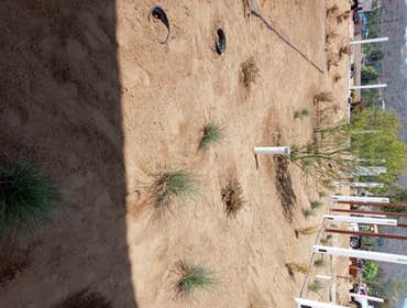 Photos by Pastrano's Landscaping #1