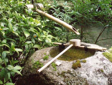 Photos by Yamamoto R. Landscaping #1