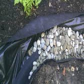 Portland Drainage System We solved a drainage issue caused by a previous contractor's poor installation.