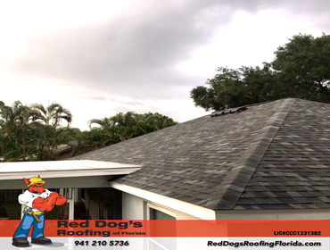 Photos by Red dog's Roofing of Florida #1
