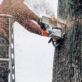 Photos by Capital City Tree Removal Co #1