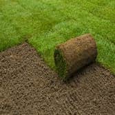 Photos from Safari Lawn Care LLC