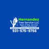 Hernandez Tree Service LLC logo
