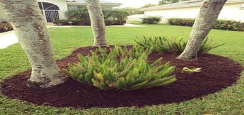 Photos by Velasquez Landscaping & Tree Service LLC #2