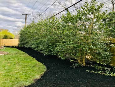 Photos by Castro Landscaping Inc #2
