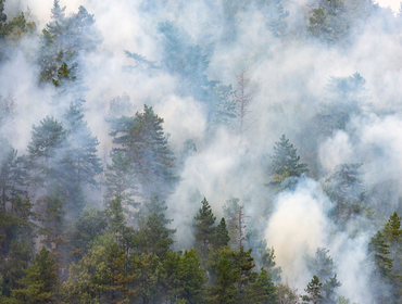 Photos by Fountain City Smoke Damage Experts #1