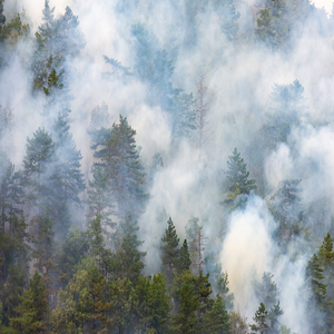 Photos by Fountain City Smoke Damage Experts #1
