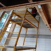 Dynamic Removal Services