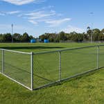 Chain link