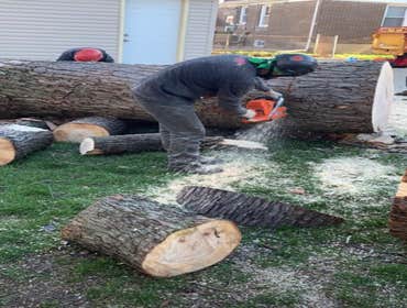 Photos by Sunnyview Landscaping #1