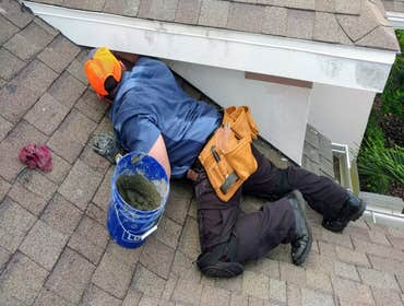 Photos by on Point Wildlife Removal #1