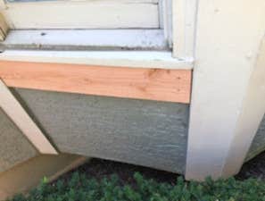 Photos by Painting Professional Work LLC #1