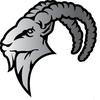 Ibex Roof LLC logo