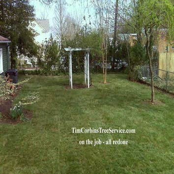 Project photos from Tim Corbin's Tree Service