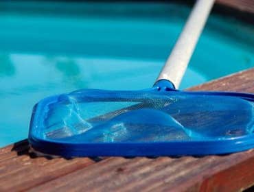 Photos by Tex Haven Pool Services #1
