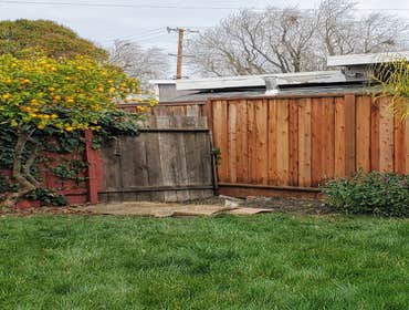 Photos by Encinal Tree Service Inc #14