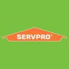 Servpro of Amityville / Lindenhurst logo