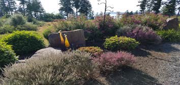 Photos from Botanical Sam's LLC
