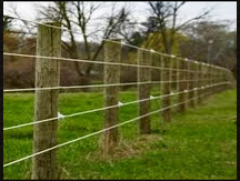 Other Fences
