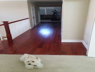 Laguna Niguel Remodel