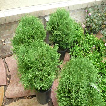 Photo(s) from Integrity Design & Landscape Inc