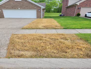 Photos by Alberto Alavez Professional Lawn Services LLC #20