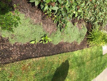 Photos by Pacific Bldg Maintenance LLC #1