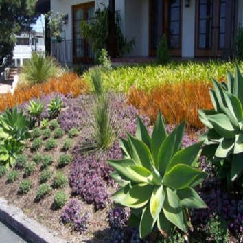 Single Family Residential Project in San Diego