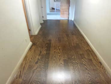 PREMIER HARDWOOD RESTORATIONS vs. PET STAINS Red oak hardwood damaged by pets stains. Job to be sand and finished with a dark walnut stain to hide/camo