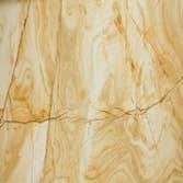 Tic wood