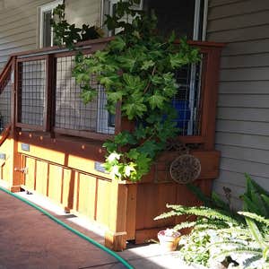 Photos by Yb Painting Inc #1