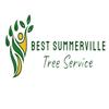 Best Tree Service Summerville logo