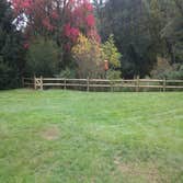Fences