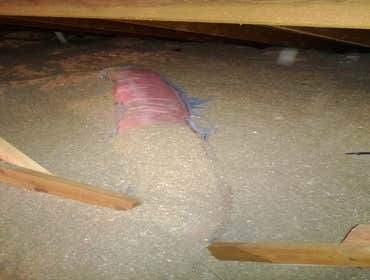 Photos from Dubs Heating And Air