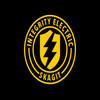 Integrity Electric Skagit, LLC logo
