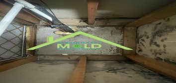Photos by Affordable Mold Testing & Assessments #2