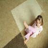 the Carpet Lady, Inc logo