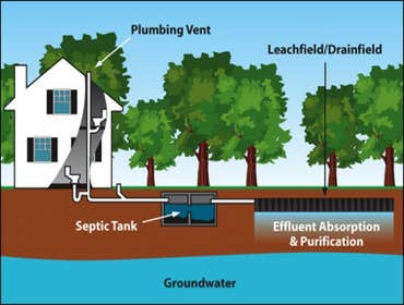 Septic Tank Pumping Service in Orlando Frank Gay Services is the #1 Septic System Service Company in Orlando. From Drain Field Installation to Grease 