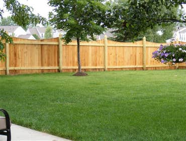 Fences