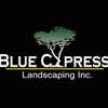 Blue Cypress Landscaping Inc logo