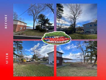 Photos by American Pride Tree Experts & Landscaping Inc #74