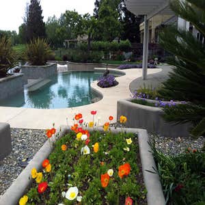 Photos from Trademark Pool Plastering