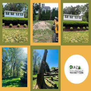 Photos by Diaz Tree Service & Landscaping LLC #23
