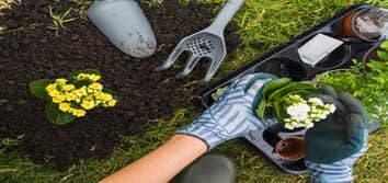 Photos by Loyal Landscaping #1