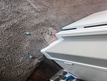 Photos by Instant Flooring #1