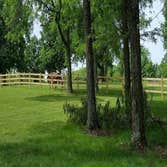 Fences